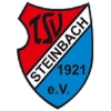 TSV Steinbach II