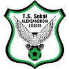 Sokół Aleksandrów
