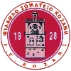 Kozani