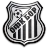 OFK Bor 1919