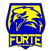 Forte FC