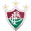 Luminense