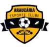 Araucaria U20