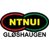 NTNUI