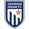 Geumsan Insam