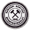 Sárisápi Bányász