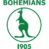 Bohemians 1905 II