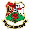 llanelli AFC
