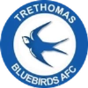 Trethomas Bluebirds