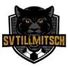 Tillmitsch
